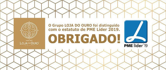 Grupo Gold Store Premium distinguido con el estatus de Líder de Pymes 2019 - Gold Store Premium